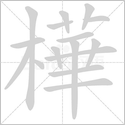 樺字五行|樺字五行属什么